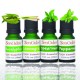 Minty Refresh Set - Essential Oils 